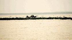 People of Bagha Char area panicked at growing Padma water