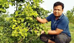 Orange's bumper production in red soil