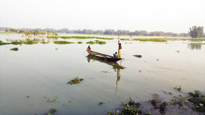 Hundreds of people are suffering due to unchanged flood situation in Sirajganj char areas. The photo taken recently shows three minors riding a boat in Char Puthiabari Village under Sadar Upazila.	photo: Observer 