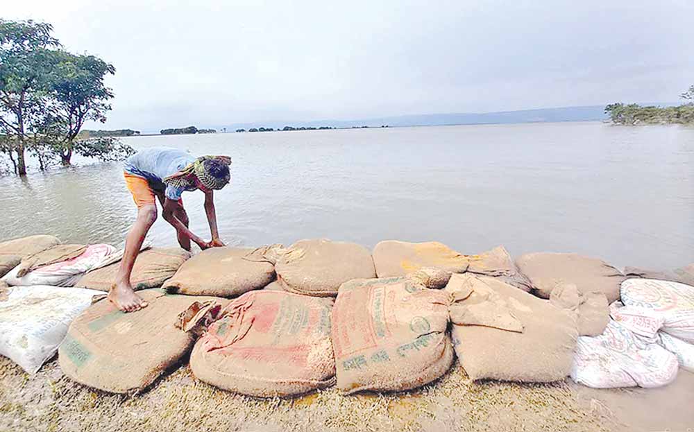 A worker tries to protect an embankment at Tanguar Haor in Baghmara area of Sunamganj. Several such embankments have already given in to the onrush of water from Meghalaya and Cherrapunji of India. The picture was taken  on Monday.	PHOTO: OBSERVER