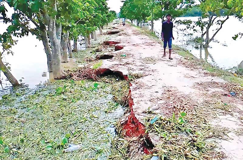 The photo shows the dilapidated condition of a road in Jagannathpur Upazila.	photo: observer