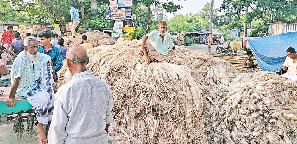 The photo shows jute being sold at Karamja Haat in Santhia Upazila.	photo: observer