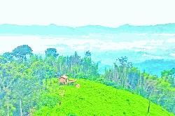 Sajek-tourism jewel-limping for militancy in CHT