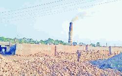 Illegal brickfields damage Puthia environment