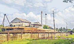 Rajshahi Sugar Mills count Tk 391cr loss in five years