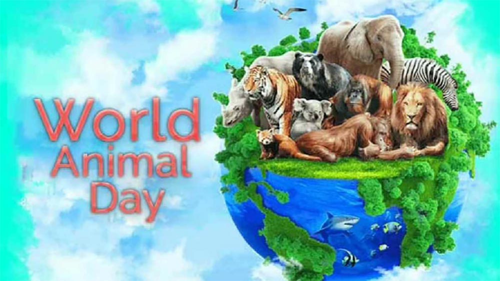 Animals, humans must coexist to survive