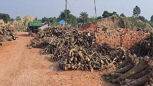 Illegal brickfields threaten environment at Puthia