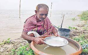 Hannan collecting egg, fry from Padma for 37 yrs