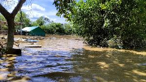 Flood in Feni causes livestock losses worth Tk 396 cr