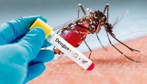 Dengue claims one more life, 118 hospitlaised