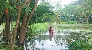 Fresh flood hits Laxmipur: Electricity, roads disrupted, water crisis deepens