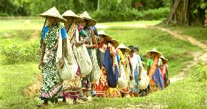 Tea workers to resume work after 3 months 