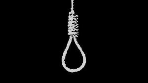 Van driver found dead in Gaibandha
