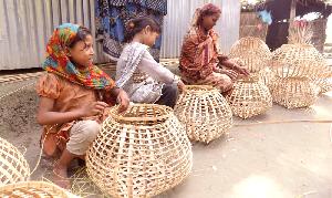 Laxmipur's cottage industry on the brink of extinction 