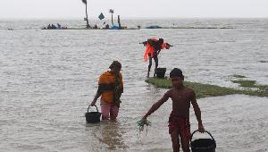 Coastal climate adversities creat health crisis in Bhola's char regions 