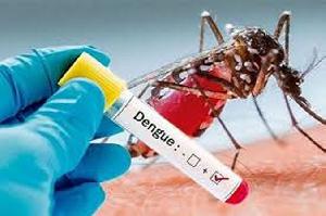 Dengue: 19 hospitalised in 24hrs