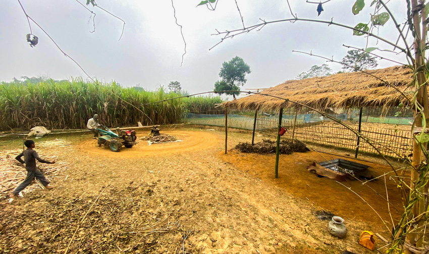 A local farmer Mansur Ali was seen busy at work in his field at Kamalganj upazila of Moulvibazar district on Fridayy. Photo: Observer