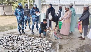 500-kg jatka seized in Chandpur