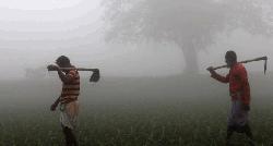 Cold wave may continue, temperature drops to 7°C in Sreemangal