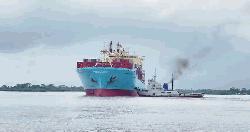 Foreign vessel detained at Mongla port following importer’s lawsuit