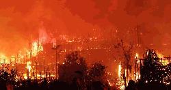 Over 500 shelters burnt in fire at Ukhiya Rohingya camp
