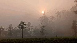 Cold wave eases in northern Bangladesh as temperature rises