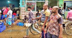 Wild, migratory birds sold openly in Bagerhat markets