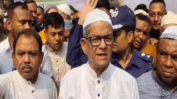 Govt aims to restore effectiveness of state institutions: Mirza Fakhrul