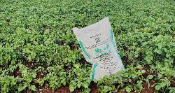 Iran war deepens fertilizer crisis, threatening global food prices