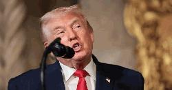 Trump says US may not be there for NATO if needed
