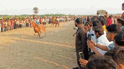 Traditional horse race returns to Faridpur's Saltha after a decade