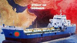 Iran Ambassador assures Bangladeshi vessels' passage thru Strait of Hormuz