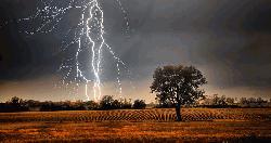 Lightning strikes kills 2 in Munshiganj