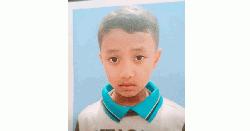Schoolboy killed in Gazipur road crash