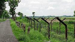 3 Bangladeshis detained by BSF along Jhenaidah border