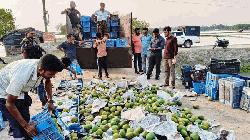 3,360kg of chemically ripened mangoes seized, destroyed in Satkhira