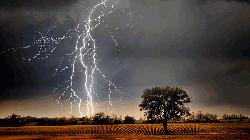 Schoolboy, 2 others killed in Gaibandha lightning strike