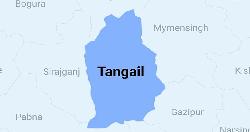 One killed, 10 injured in Tangail road crash
