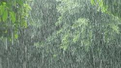 Heavy to very heavy rain likely in 5 divisions: Met office