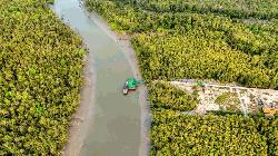 Pirate gangs surge in Sundarbans; 22 fishermen abducted