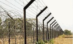 BSF kills 2 Bangladeshis along Kasba border