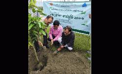 Tree plantation programme starts at Dasherkandi Sewage Treatment Plant