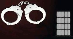 401 arrested in 24 hours in police raids in Dhaka, most in Mirpur