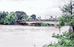14 districts face flood risk as rivers rise