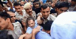 Rahul Gandhi, Priyanka detained during protest in Delhi