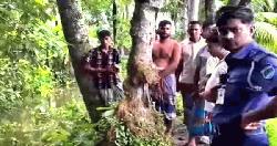 2 dead bodies recovered in Bagerhat