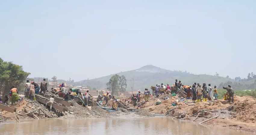 Collected Photo