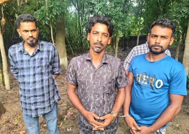 Collected Photo