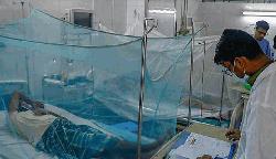 Dengue deaths rise to 107 as five die in 24 hours