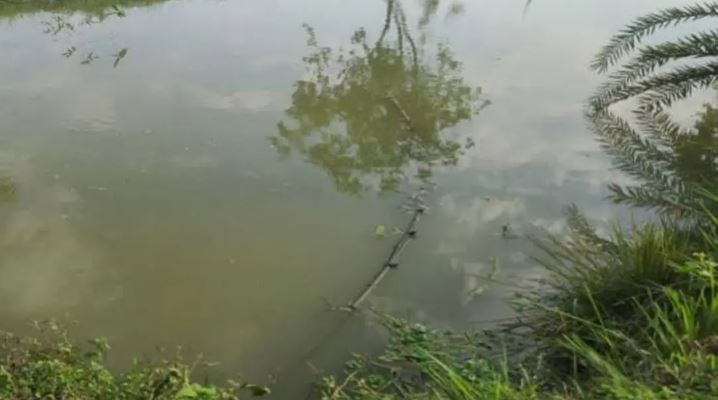 Collected Photo